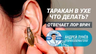 Таракан в ухе, что делать? Отвечает ЛОР врач