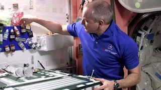 How do astronauts season their meals in space?