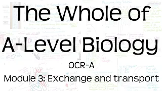 The Whole of OCR-A A-Level Biology | Module 3: Exchange and transport | Revision