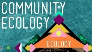 Community Ecology: Feel the Love - Crash Course Ecology #4