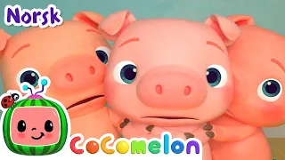 Tre små grise | Vuggesanger for Babyer | CoComelon Norsk