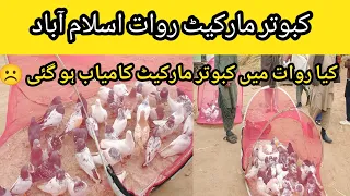 Kabootar Market Rawat Islamabad | Pigeon Market Rawat | Pigeon Club Rawat !!