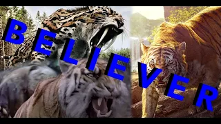 Tribute to Tigers (Sabertooth,Shiva & Shere Khan) - Believer