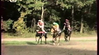 Velká Pardubická 1993 Rigoletto