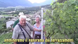 Promo Tra Vigne e Crap e Ciapel D'Oro a Castione Andevenno in Valtellina