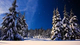 Christmas music, Christmas instrumental Music,  "Let It Snow" by Tim Janis