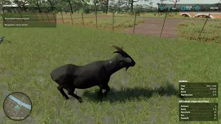 fs22 NOUVEAU MOD pour avoir tout les animaux de la ferme