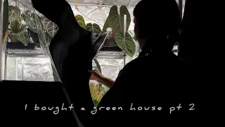 Anthurium growth updates + new green house tour!