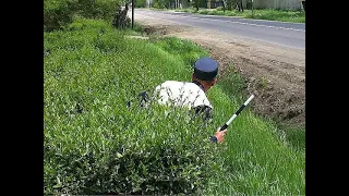 ДПС Вышний Волочёк  Тверской обл   ОХОТА НА ИНОСТРАНЦЕВ