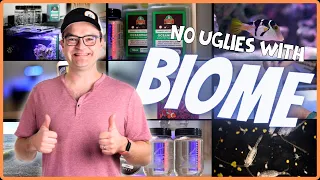 Set Up for Success by Biome Cycling Your New Reef Tank! EP: 7