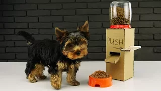 Dispensador de comida casero para cachorros hecho de cartón en casa.
