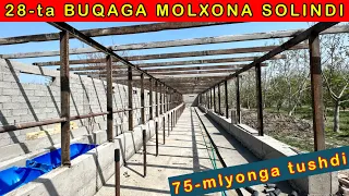 MOLXONA SOLSANGIZ SHUNDAY SOLING 75-mlyonga shu xolga kelibdi