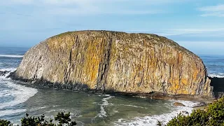 Seal Rock Oregon