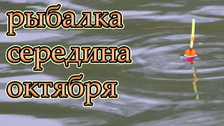 Рыбалка на поплавок в середине октября 2023