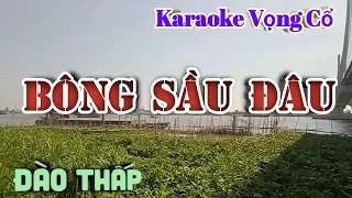 Karaoke Vọng Cổ Bông Sầu Đâu - Dây Đào Thấp - Tác giả : Nguyễn Hữu Nghĩa