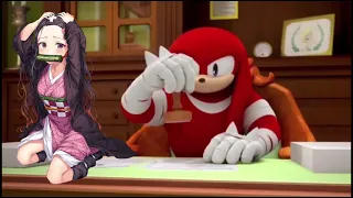 Knuckles Rates Anime Girls (Meme) (HEADPHONE WARNING)