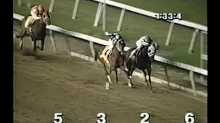 Meadowlands Racetrack - Documentary