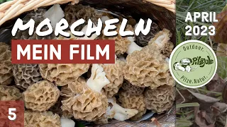 Morcheln | Mein Film | Wunderbare Welt der Morcheln | Das haben wir nicht erwartet!