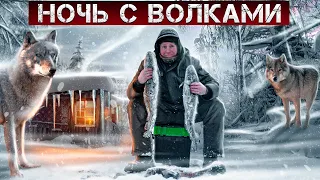 РЫБАЛКА НА НАЛИМА И НОЧЬ В ИЗБЕ С ВОЛКАМИ . #изба #тайга