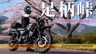 【春の風景】金太郎のふるさとで最高の絶景と桜を満喫するバイク旅。 足柄峠ツーリング 【 HONDA CL250 / モトブログ 】GOPRO 12