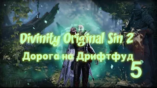 Divinity Original Sin 2. Дорога на Дрифтвуд [#5]