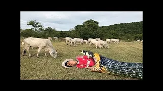 Amazing Two Brave Boys Catch Big Snake While They Finding Cows In Crowd Of Cows #Amazing