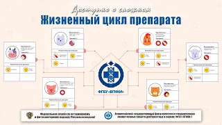 Жизненный цикл лекарственного препарата