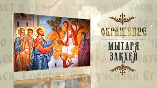 «Воскресное Евангелие»: Обращение мытаря Закхея