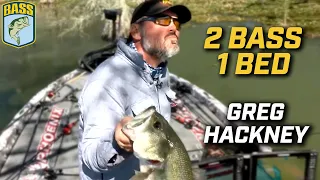 14 minutes of Greg Hackney sight fishing two bedding bass