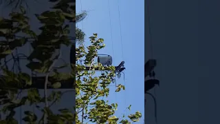Raven making a strange call, Los Angeles, CA