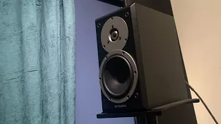 DYNAUDIO EMIT M10 😍