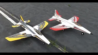 E-flite Habu STS vs Habu SS!  Battle of the 4s and 6s power!