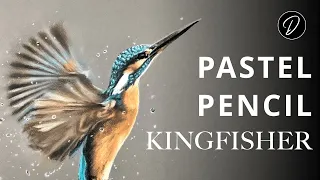Pastel Pencils Lesson: How To Draw A Kingfisher