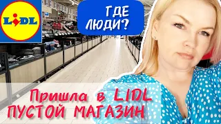 Пришла в LIDL ЦЕНЫ на Хлеб и не только 3 кг белого ПОРОШКА Что нового в Латвии #рекомендации #латвия