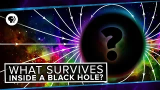 What Survives Inside A Black Hole?