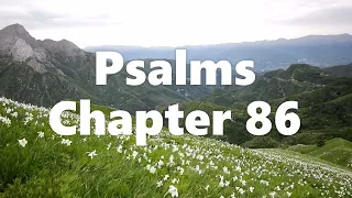 The Book of Psalms Chapter 86 - New King James Version (NKJV) - Audio Bible