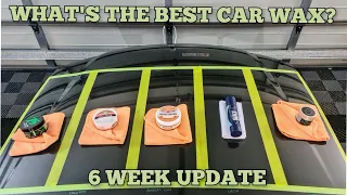 What's The Best Car Wax? I 6 Week Update | Turtle Wax v Collinite v Bowden's v Gyeon v Artdeshine