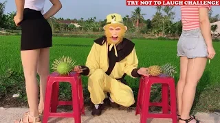 Try Not To Laugh 😂 😂 New Comedy Videos 2020 - Episode 11 | Sun WuKong