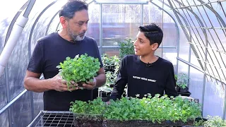 Fastest Method To Grow Dhaniya Patta | How To Grow Cilantro (Coriander)