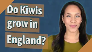 Do Kiwis grow in England?