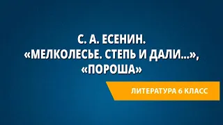 С. А. Есенин. «Мелколесье. Степь и дали...», «Пороша»