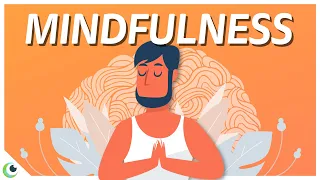 The Neuroscience of Mindfulness - What exactly happens to your brain when you meditate.