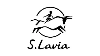 Работа в компании S.Lavia