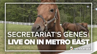 50 years after legendary triple crown, Secretariat's genes live on in Metro East