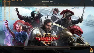 Divinity Original Sin 2 1080 ti 9900k remaster Benchmark