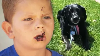 8-Year-Old Viciously Attacked by ‘Gentle’ Dog