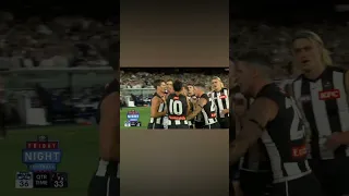 Geelong Collingwood Fight