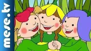 Gryllus Vilmos: Maszkabál - Virágcsokor (rajzfilm, dal, mese gyerekeknek) | MESE TV