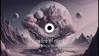 boku.projects - peace of mind (original)