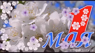 Веселое поздравление с весенним праздником 1 МАЯ!🌸🌺🌸🌸🌺🌸